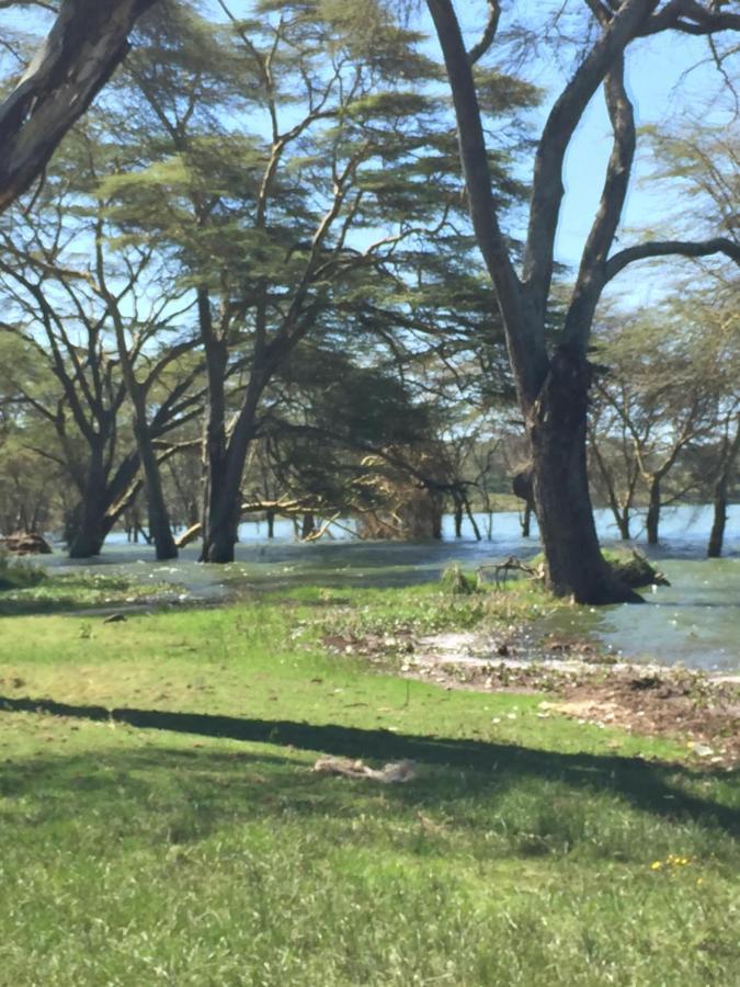 Enjoy The Silence, Naivasha By Yourhost 外观 照片